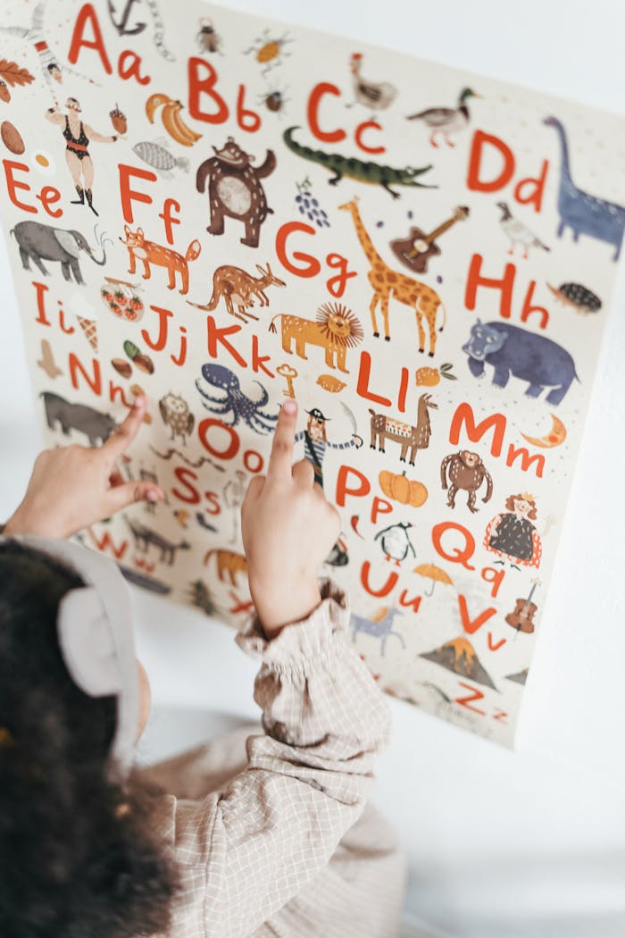 why-choose-me-02 A child points at an educational alphabet poster with animals and letters.